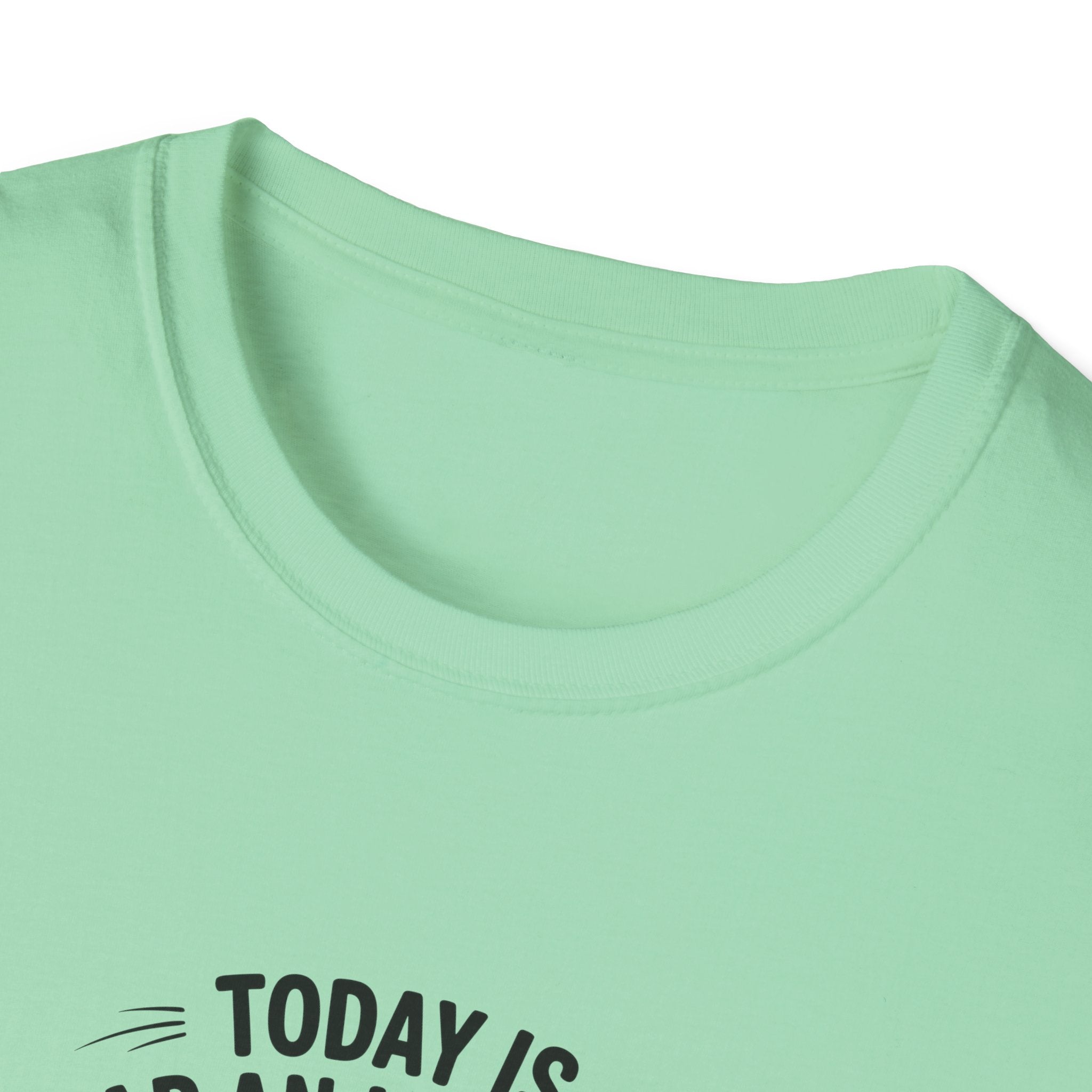 Today Is Slap An Idiot Day Duck T-Shirt — Funny Sarcastic Gift for Her Graphic Tee