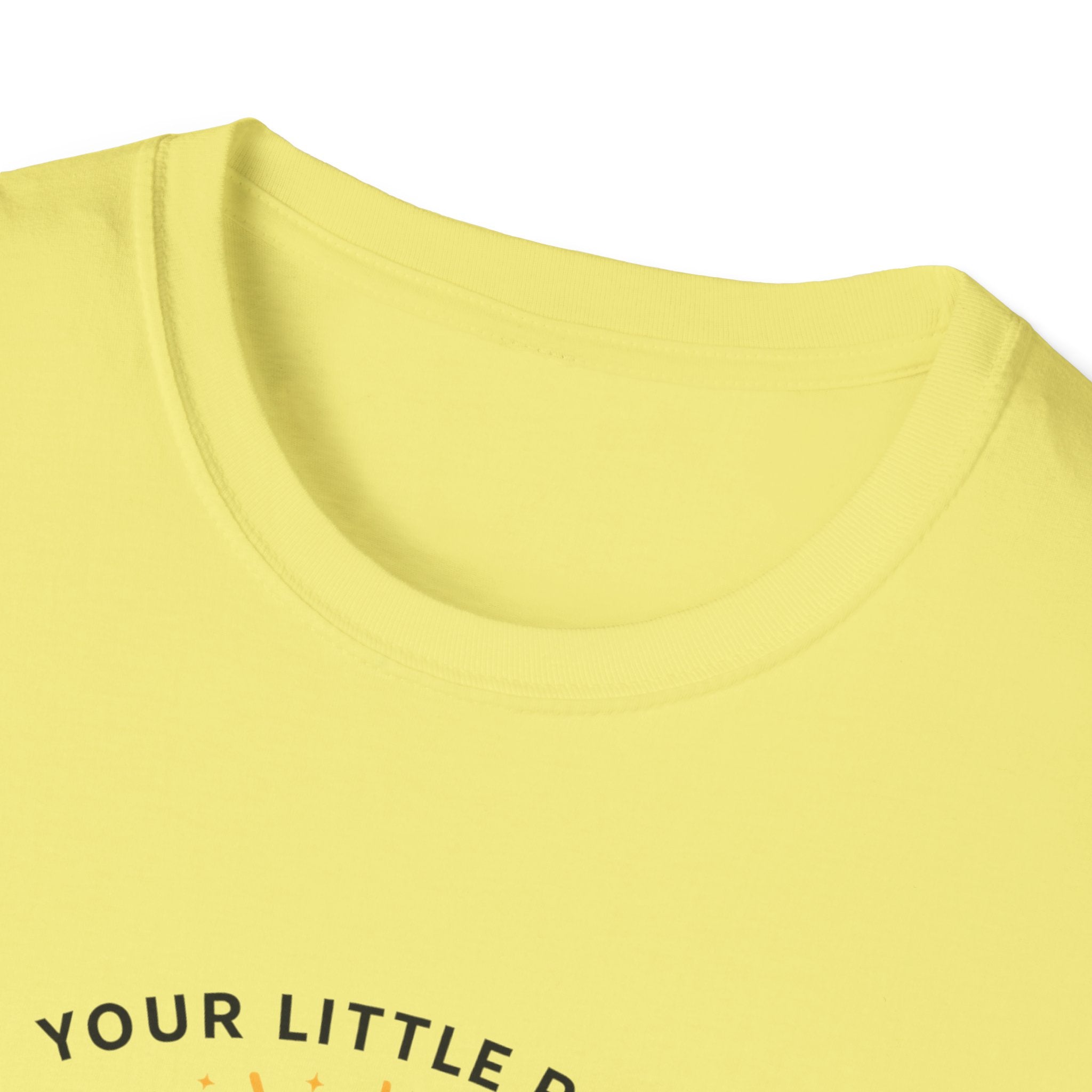 Your Little Ray of Sarcastic Sunshine Raccoon T-Shirt — Funny Gift for Her