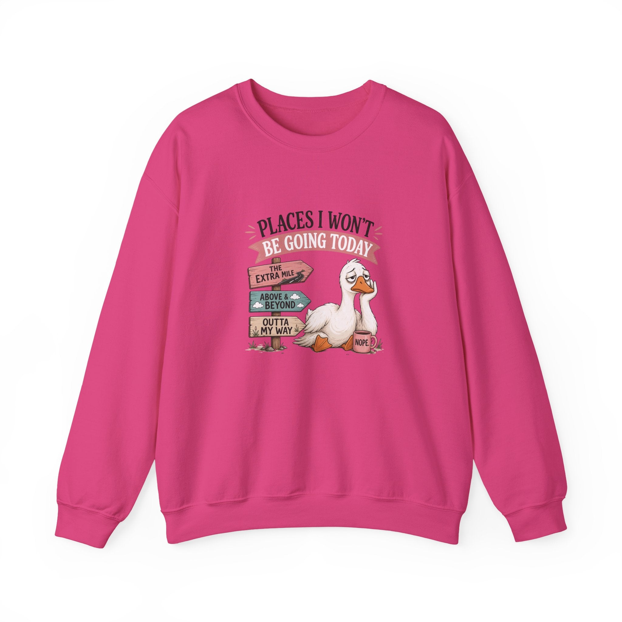 Places I Won't Be Going Today Goose Sweatshirt — Funny Introvert Gift for Her Crewneck