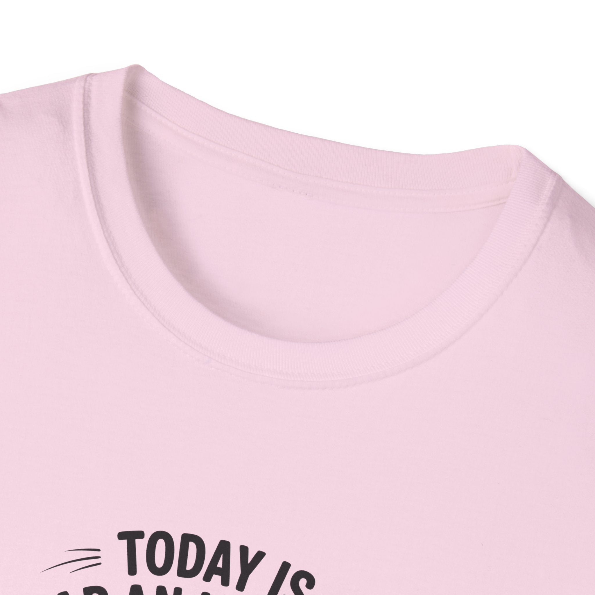 Today Is Slap An Idiot Day Duck T-Shirt — Funny Sarcastic Gift for Her Graphic Tee