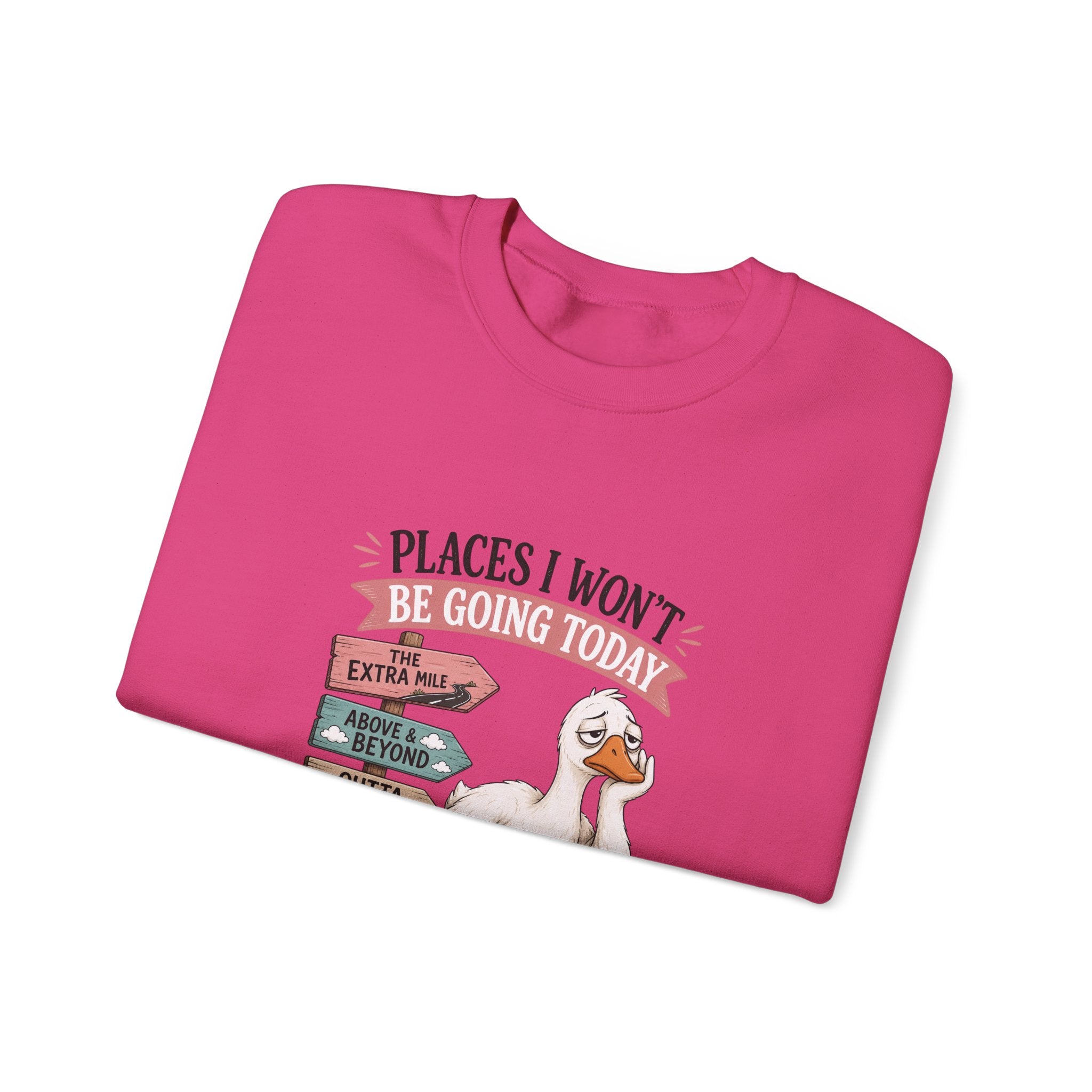 Places I Won't Be Going Today Goose Sweatshirt — Funny Introvert Gift for Her Crewneck