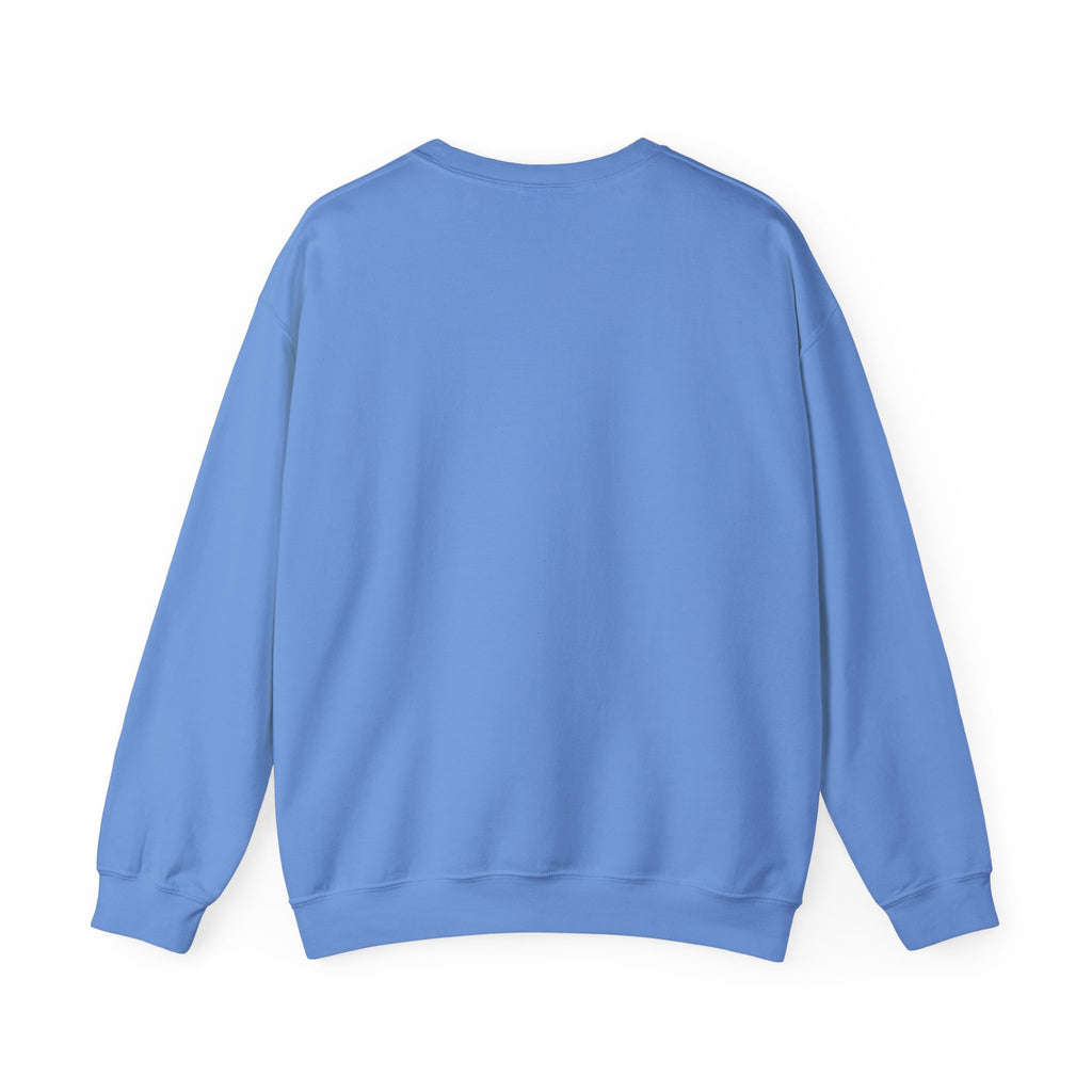 Places I Won't Be Going Today Goose Sweatshirt — Funny Introvert Gift for Her Crewneck