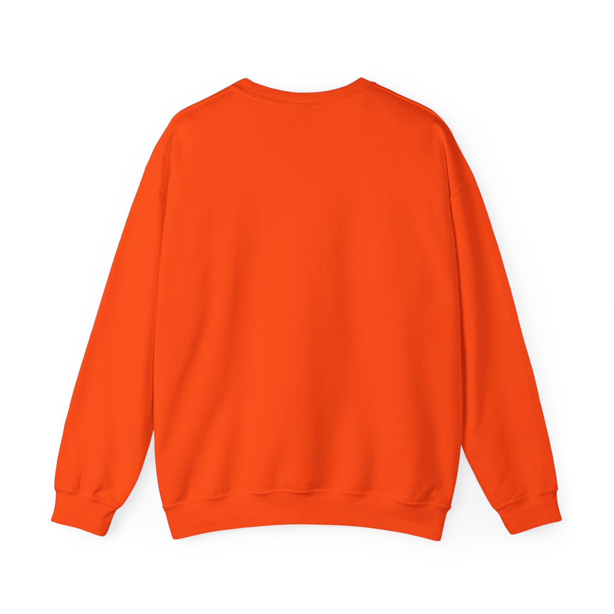 Places I Won't Be Going Today Goose Sweatshirt — Funny Introvert Gift for Her Crewneck