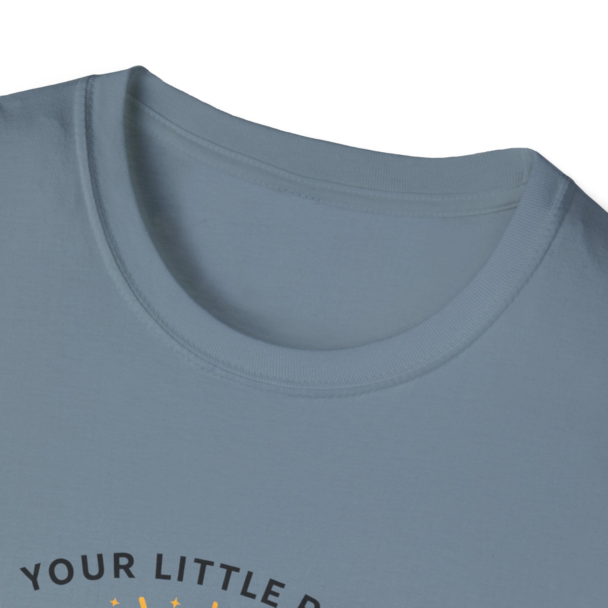 Your Little Ray of Sarcastic Sunshine Raccoon T-Shirt — Funny Gift for Her