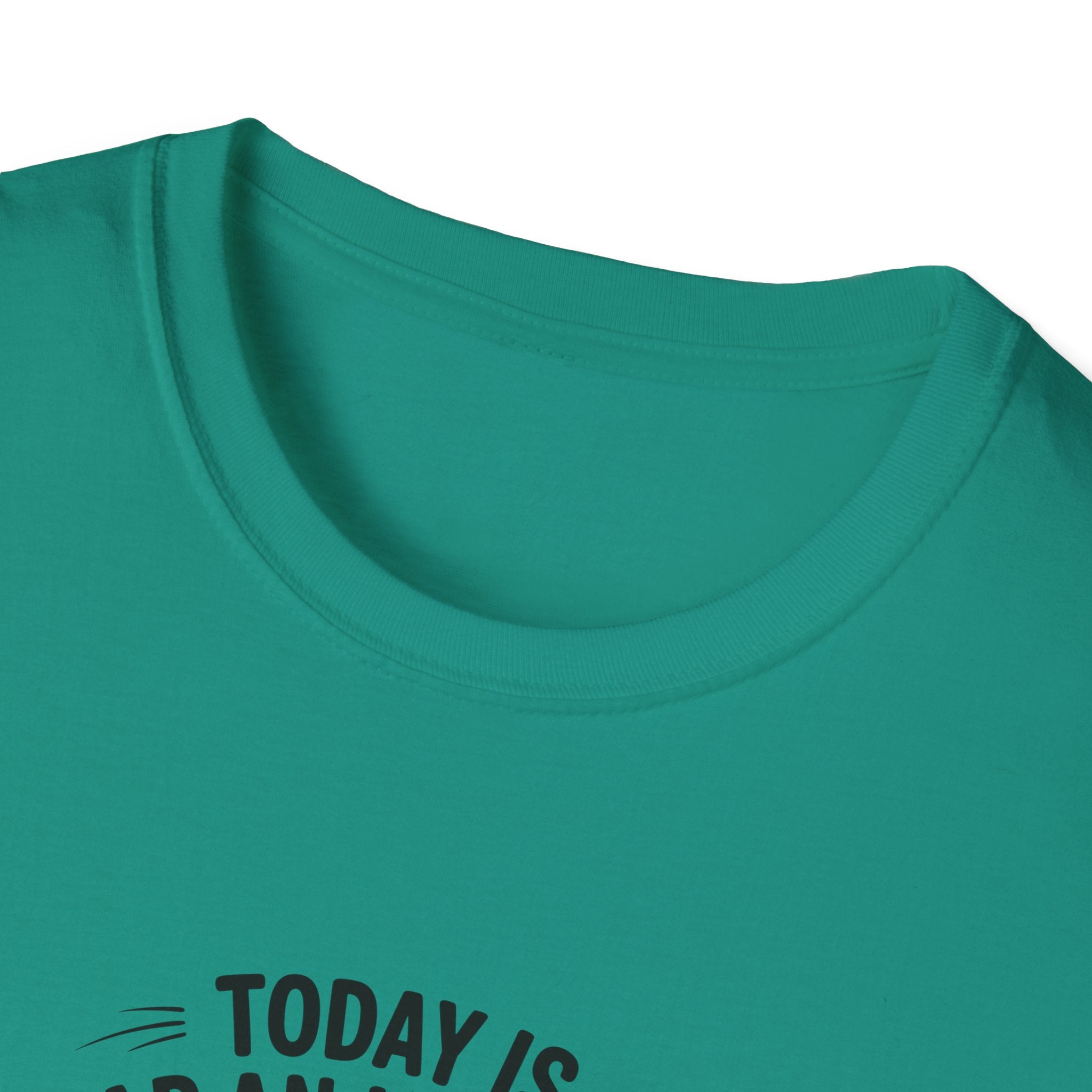 Today Is Slap An Idiot Day Duck T-Shirt — Funny Sarcastic Gift for Her Graphic Tee