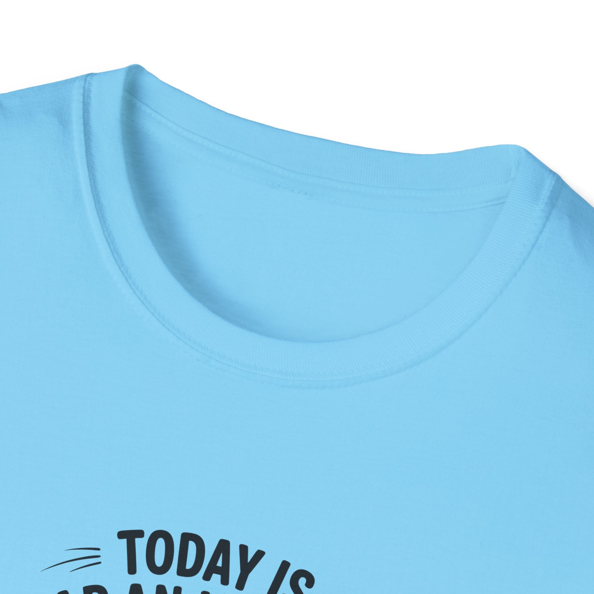 Today Is Slap An Idiot Day Duck T-Shirt — Funny Sarcastic Gift for Her Graphic Tee