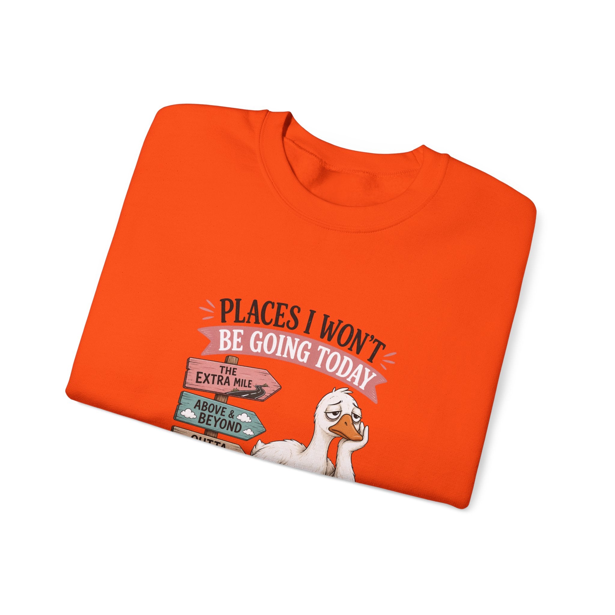 Places I Won't Be Going Today Goose Sweatshirt — Funny Introvert Gift for Her Crewneck