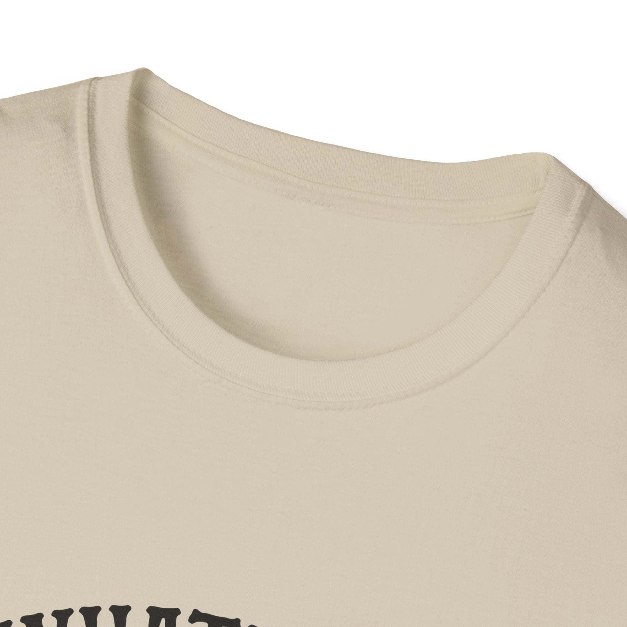 Whatever Spices Your Pumpkin T-Shirt — Funny Fall Gift for Women Pumpkin Spice Tee