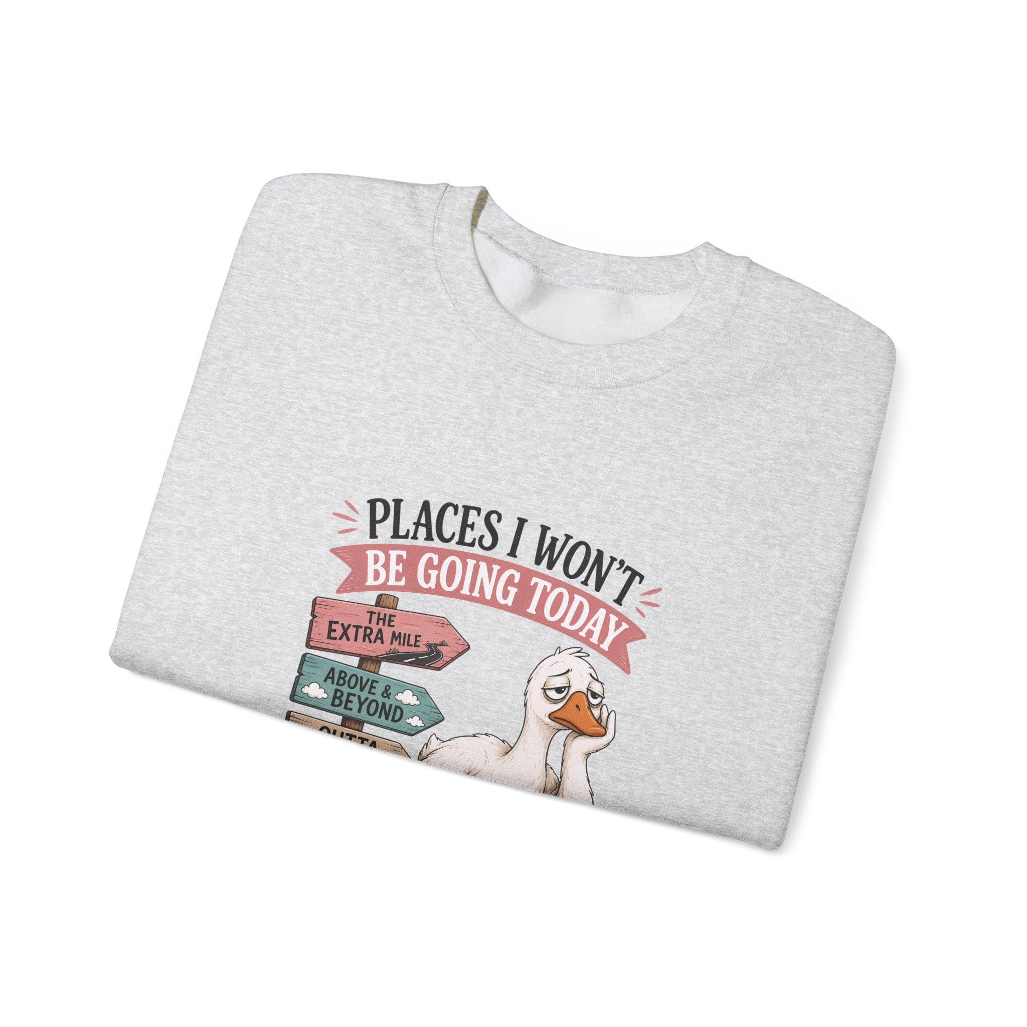 Places I Won't Be Going Today Goose Sweatshirt — Funny Introvert Gift for Her Crewneck