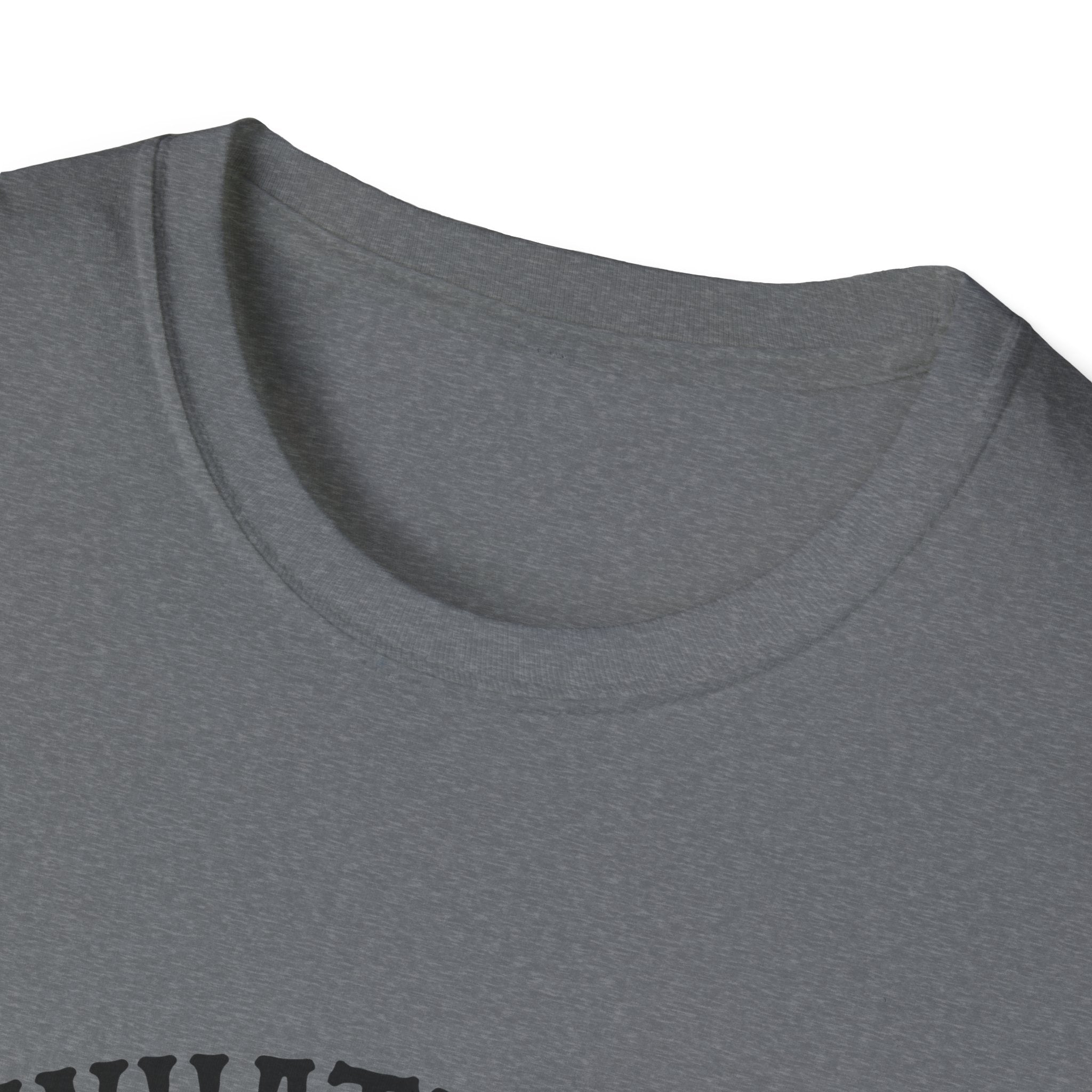 Whatever Spices Your Pumpkin T-Shirt — Funny Fall Gift for Women Pumpkin Spice Tee
