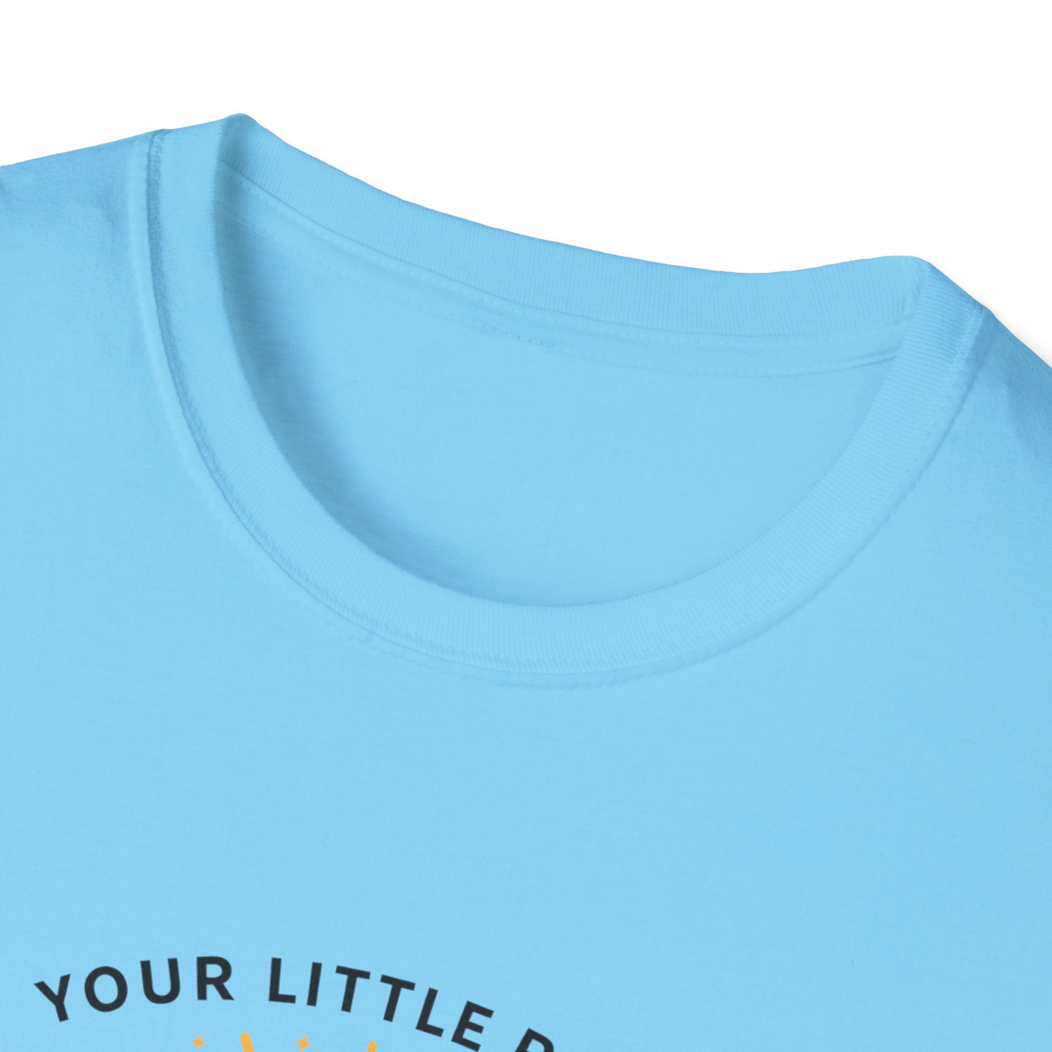 Your Little Ray of Sarcastic Sunshine Raccoon T-Shirt — Funny Gift for Her