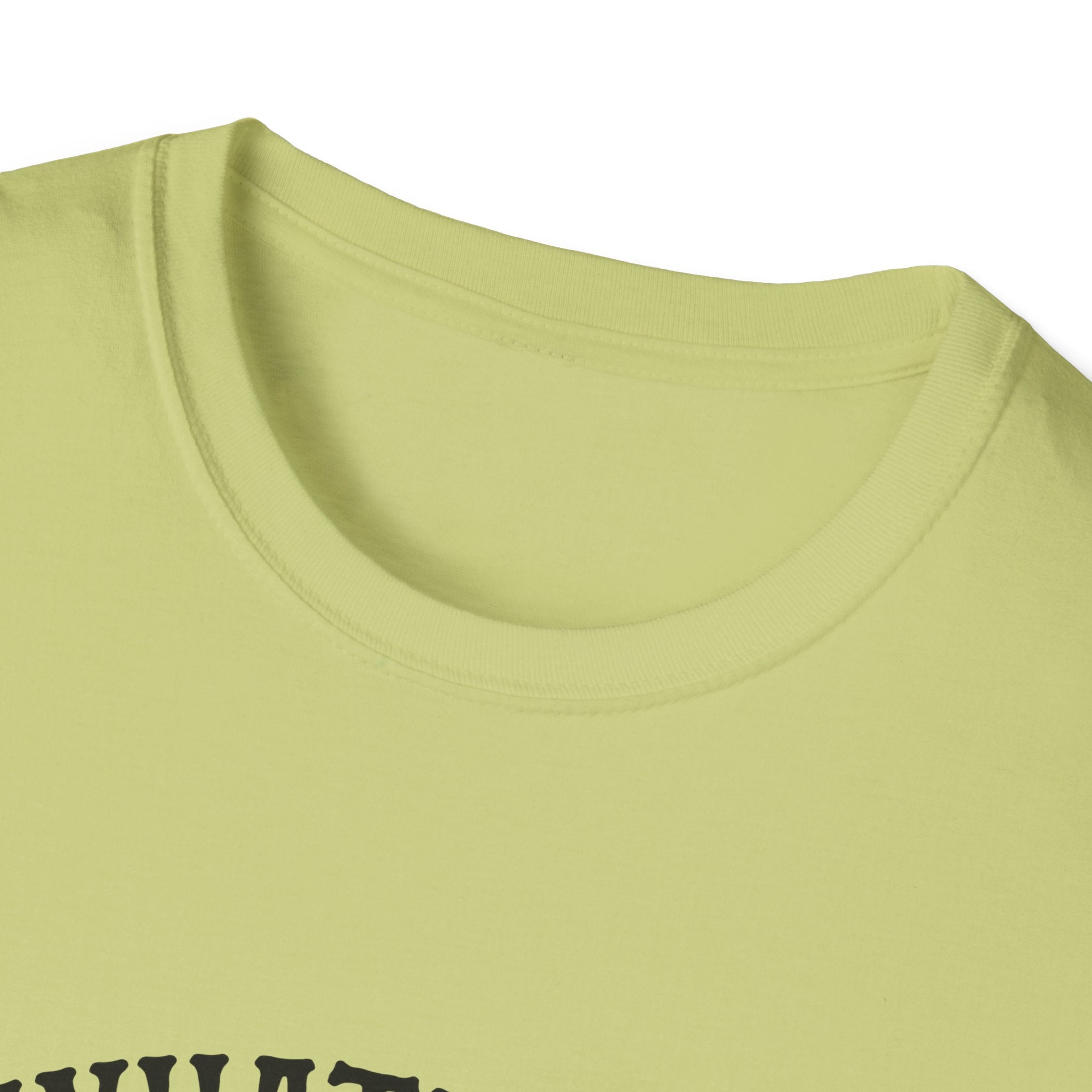 Whatever Spices Your Pumpkin T-Shirt — Funny Fall Gift for Women Pumpkin Spice Tee