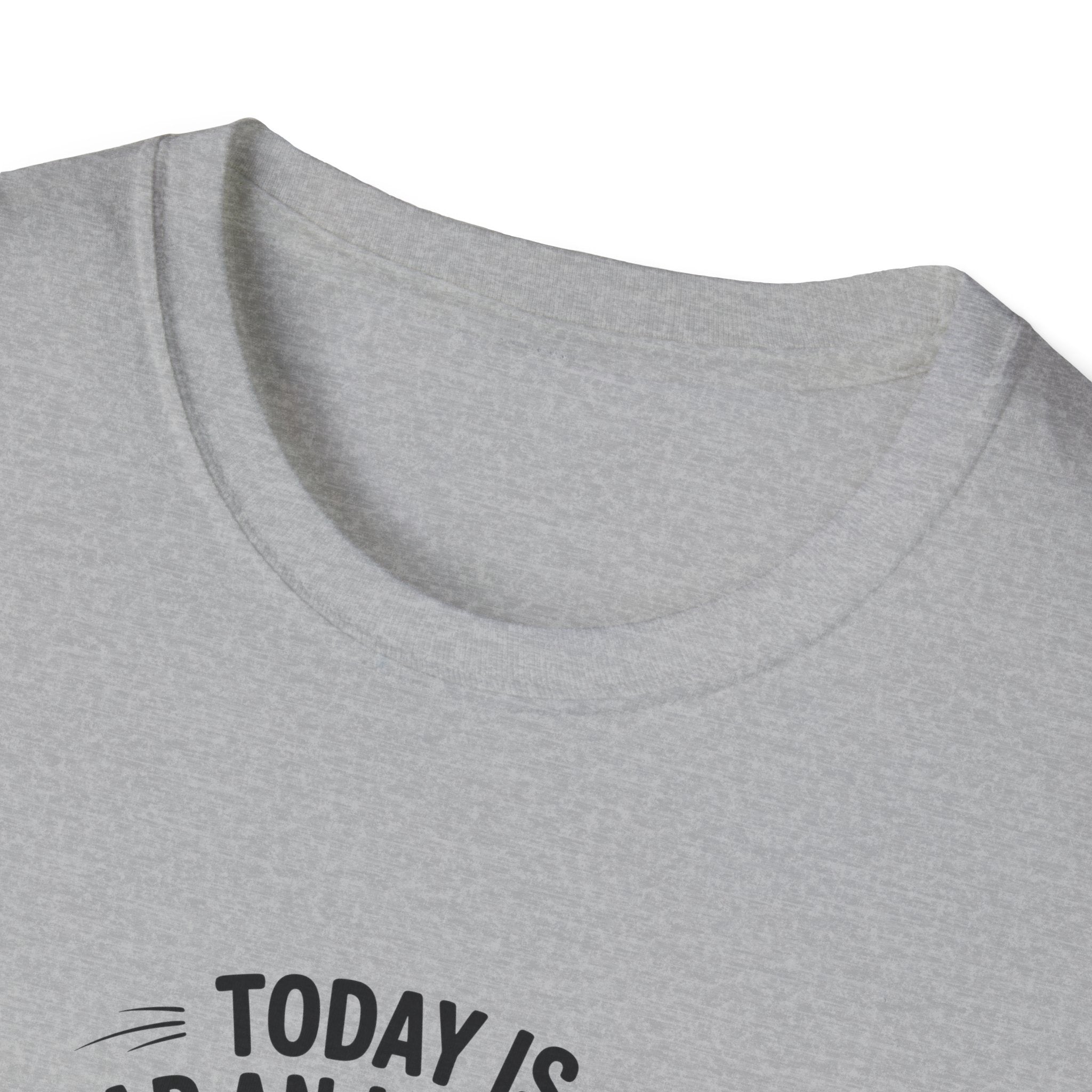 Today Is Slap An Idiot Day Duck T-Shirt — Funny Sarcastic Gift for Her Graphic Tee