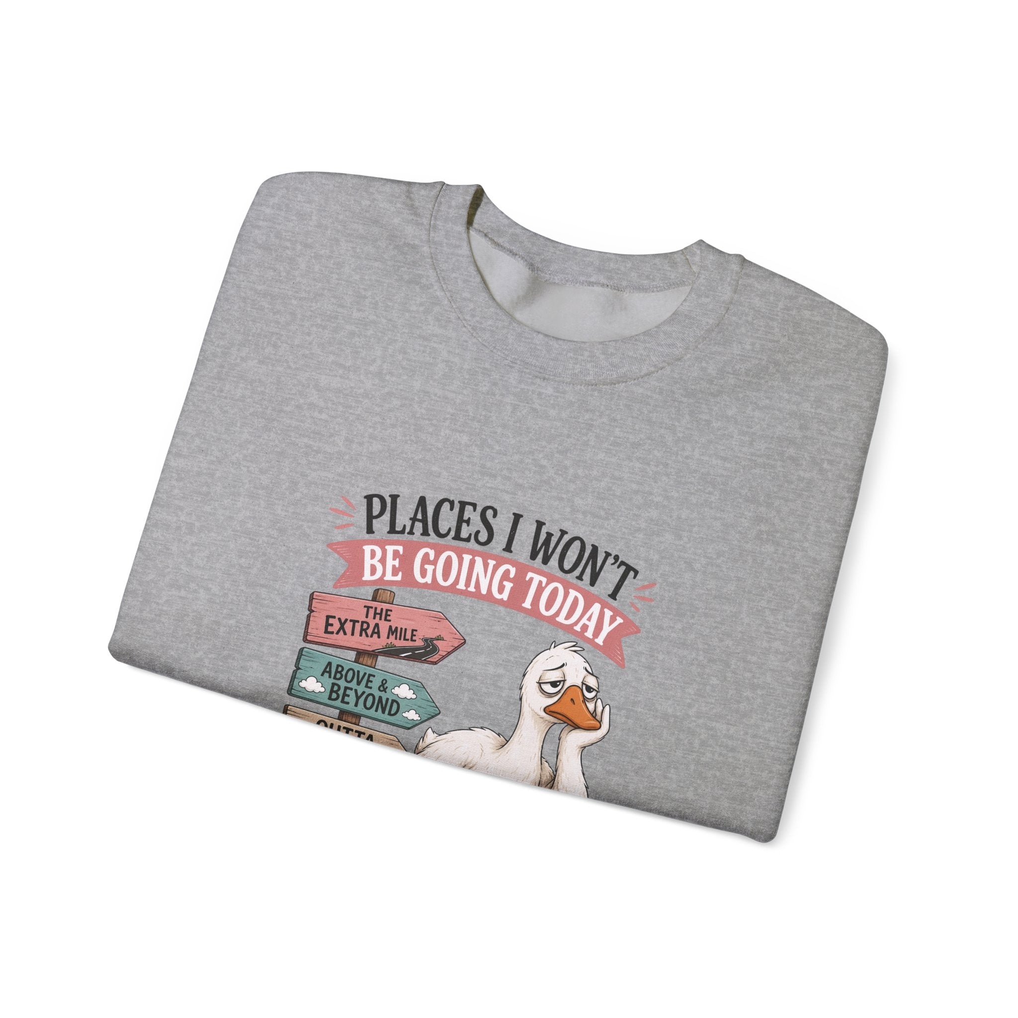 Places I Won't Be Going Today Goose Sweatshirt — Funny Introvert Gift for Her Crewneck