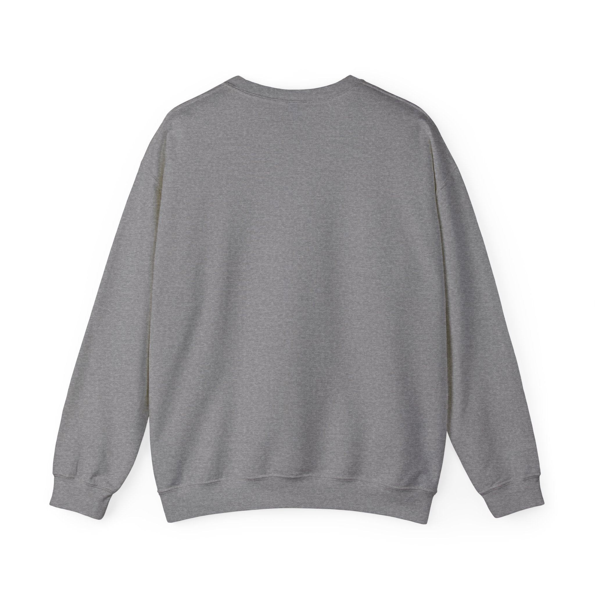 Places I Won't Be Going Today Goose Sweatshirt — Funny Introvert Gift for Her Crewneck