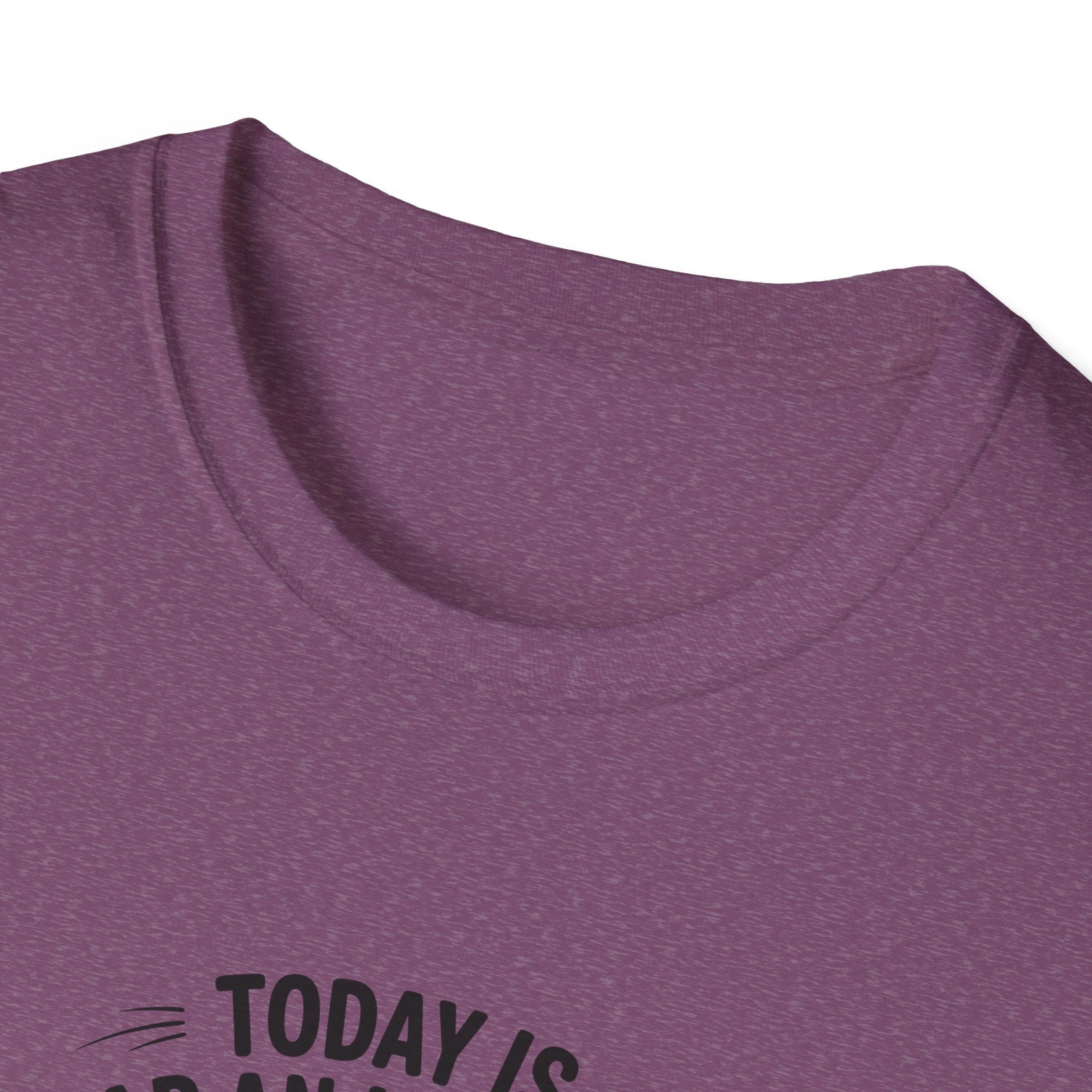 Today Is Slap An Idiot Day Duck T-Shirt — Funny Sarcastic Gift for Her Graphic Tee