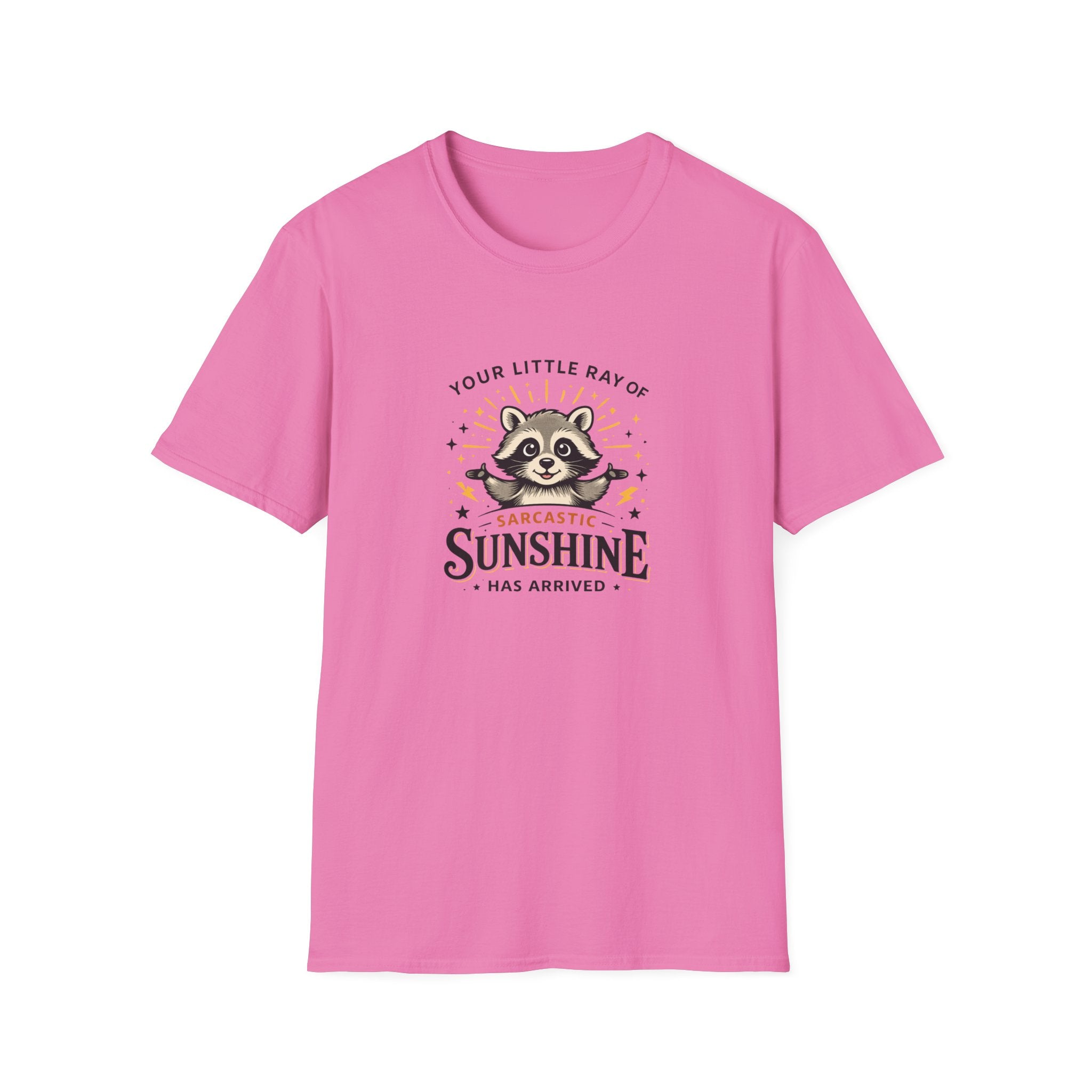 Your Little Ray of Sarcastic Sunshine Raccoon T-Shirt — Funny Gift for Her