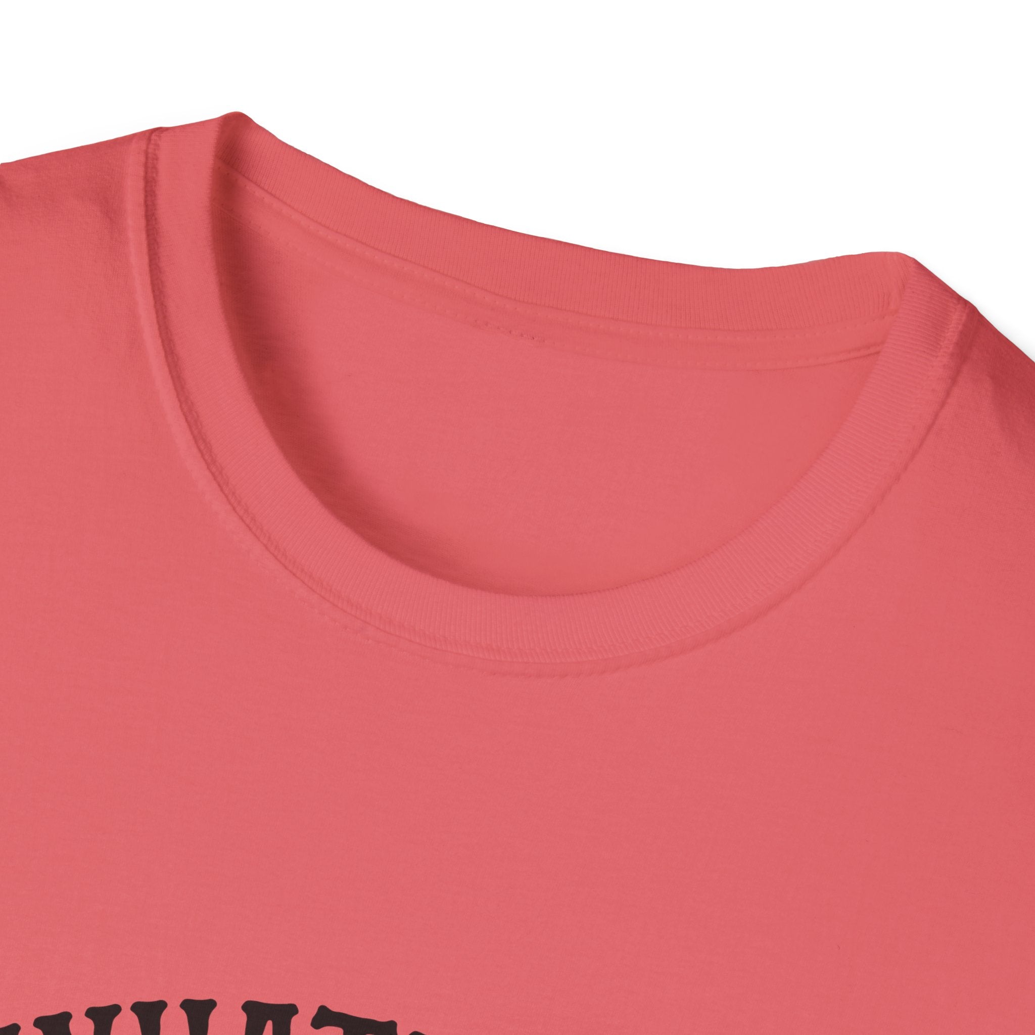Whatever Spices Your Pumpkin T-Shirt — Funny Fall Gift for Women Pumpkin Spice Tee