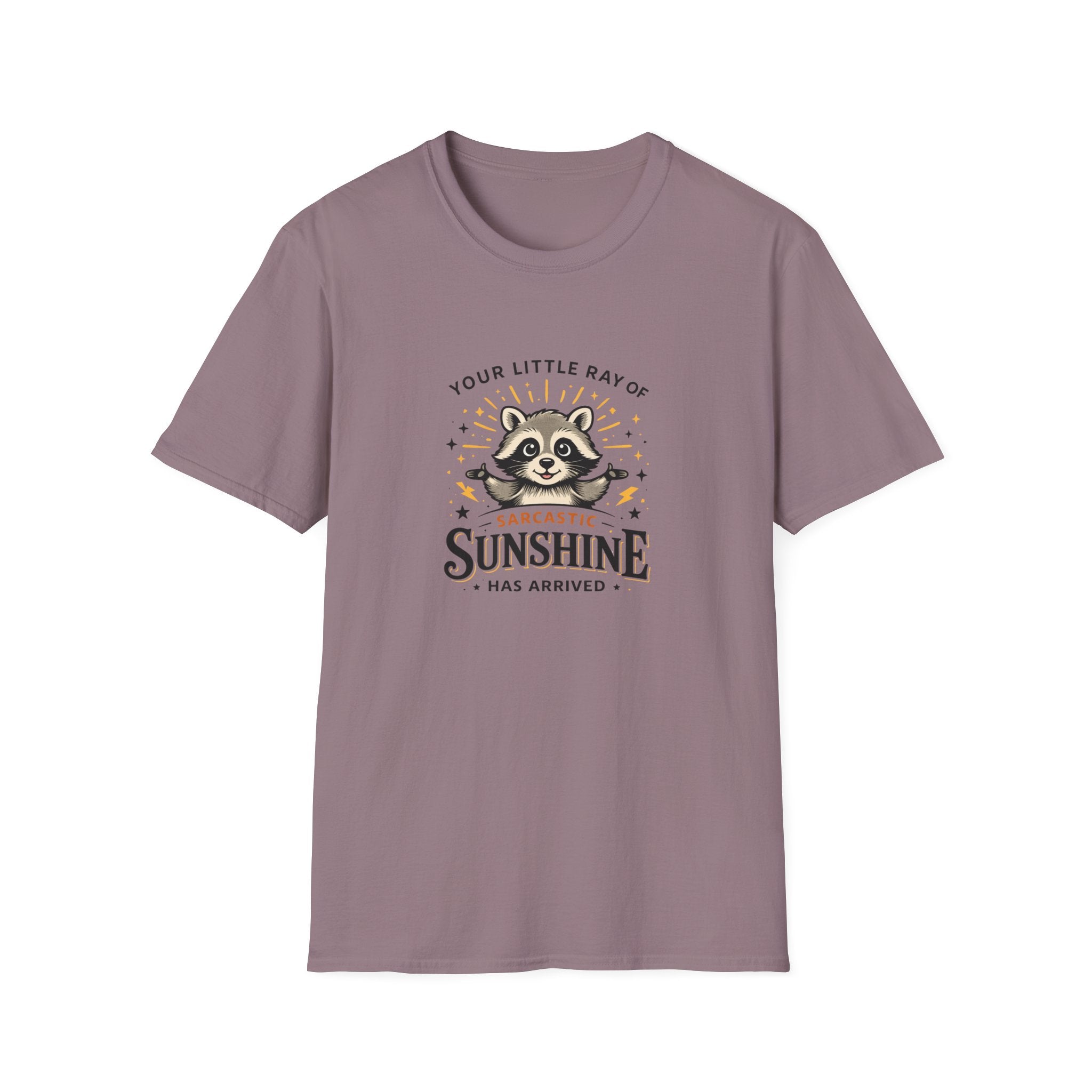 Your Little Ray of Sarcastic Sunshine Raccoon T-Shirt — Funny Gift for Her