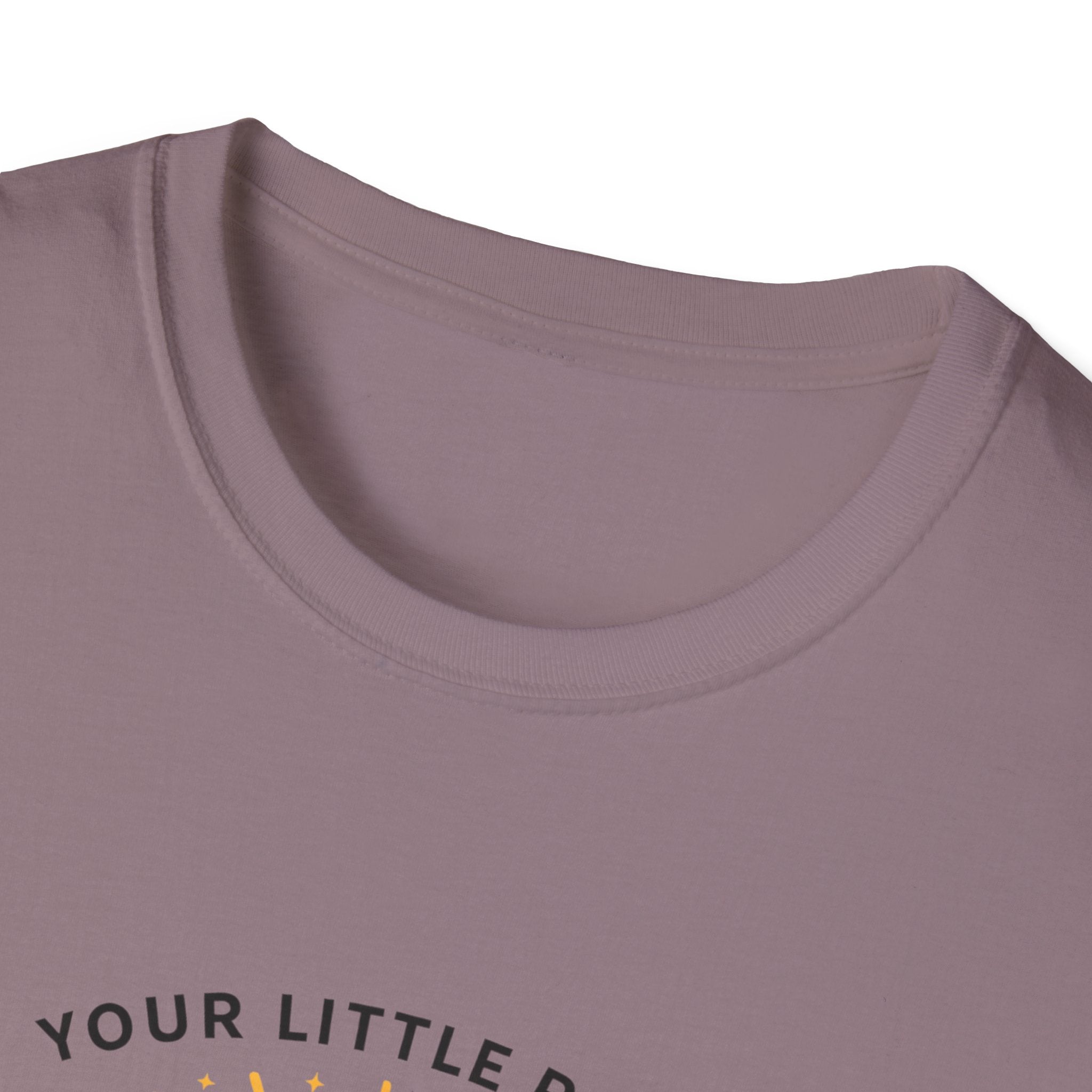 Your Little Ray of Sarcastic Sunshine Raccoon T-Shirt — Funny Gift for Her