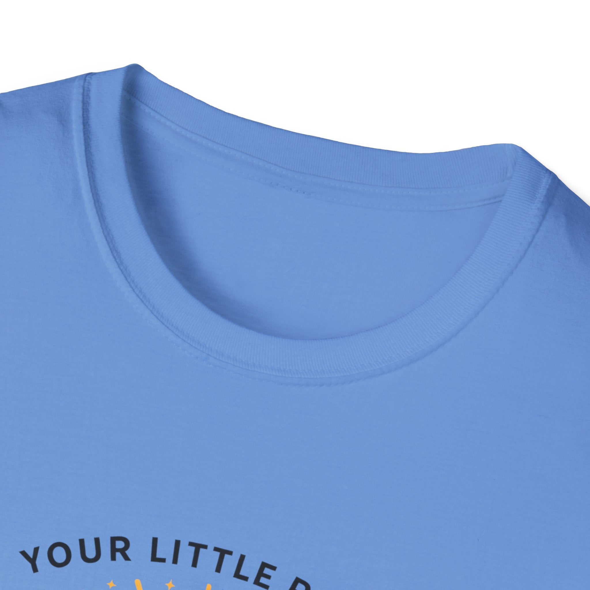 Your Little Ray of Sarcastic Sunshine Raccoon T-Shirt — Funny Gift for Her
